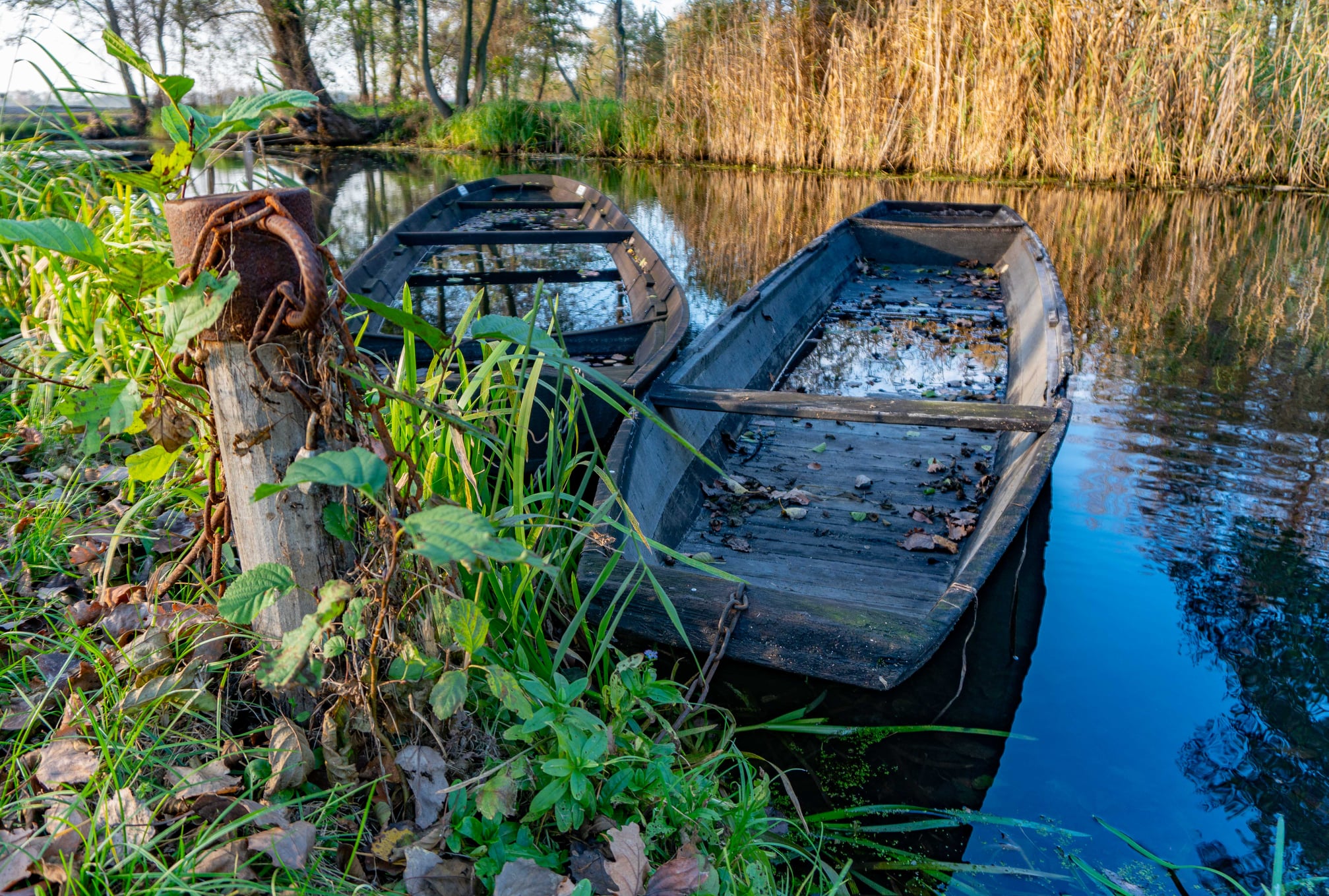 Spreewaldmarathon Startseite